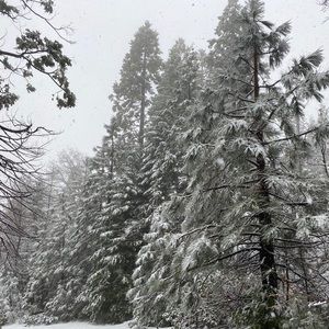 Meet your Posher, Valeria